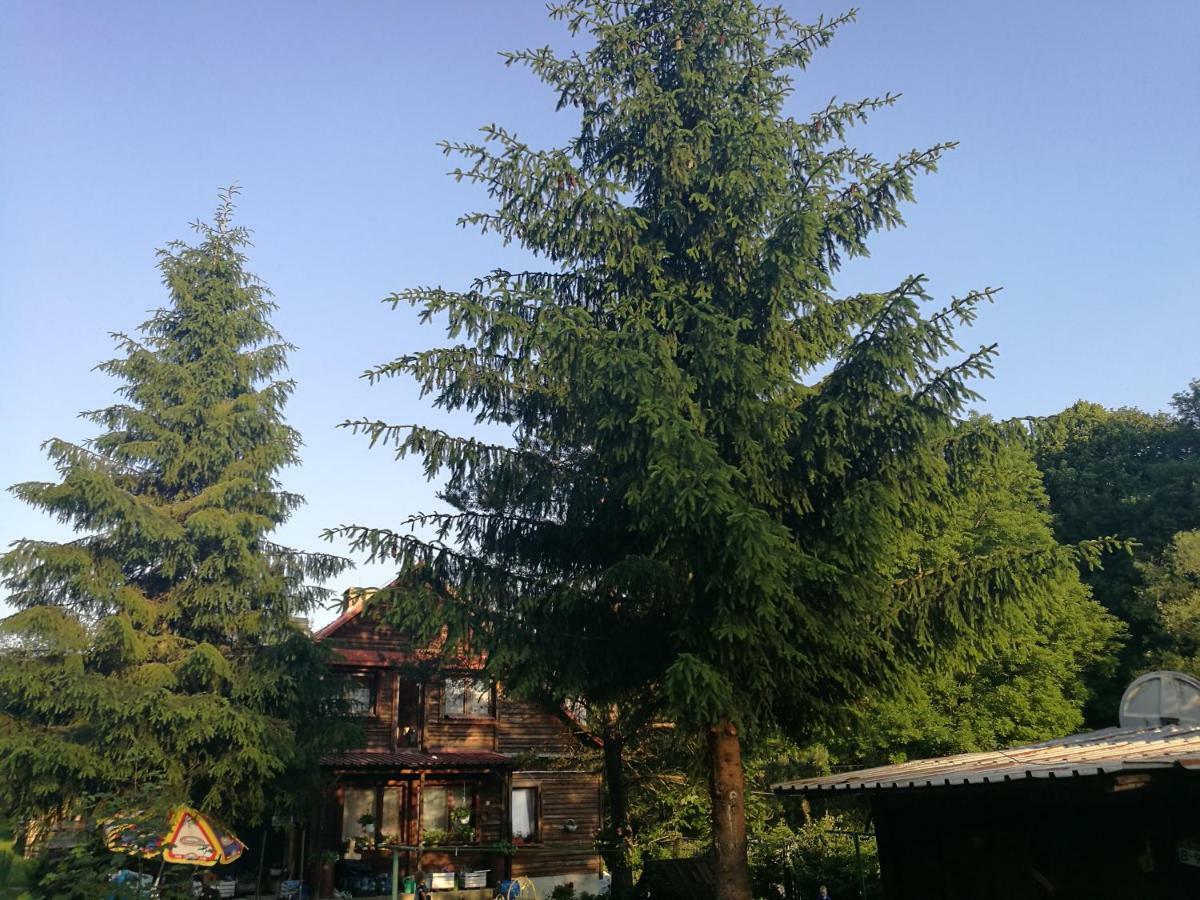Bieszczadzki Zakatek :-) Vila Skorodne Exterior foto